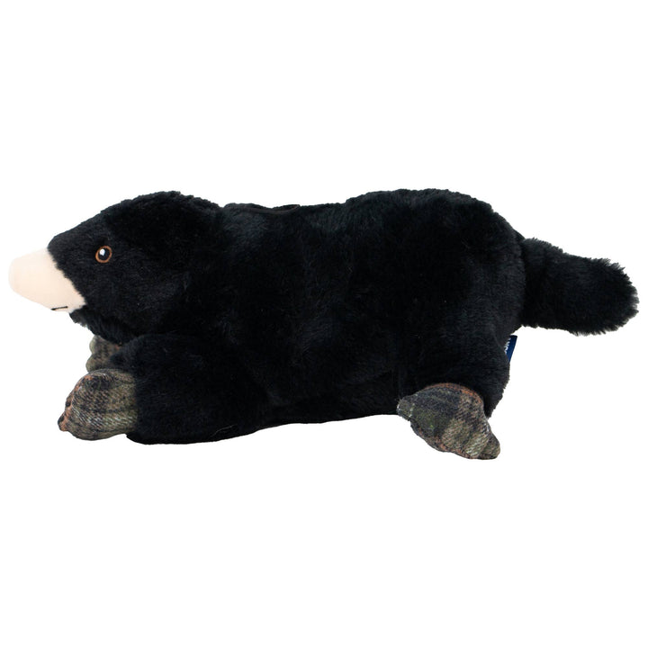 Montgomery Mole