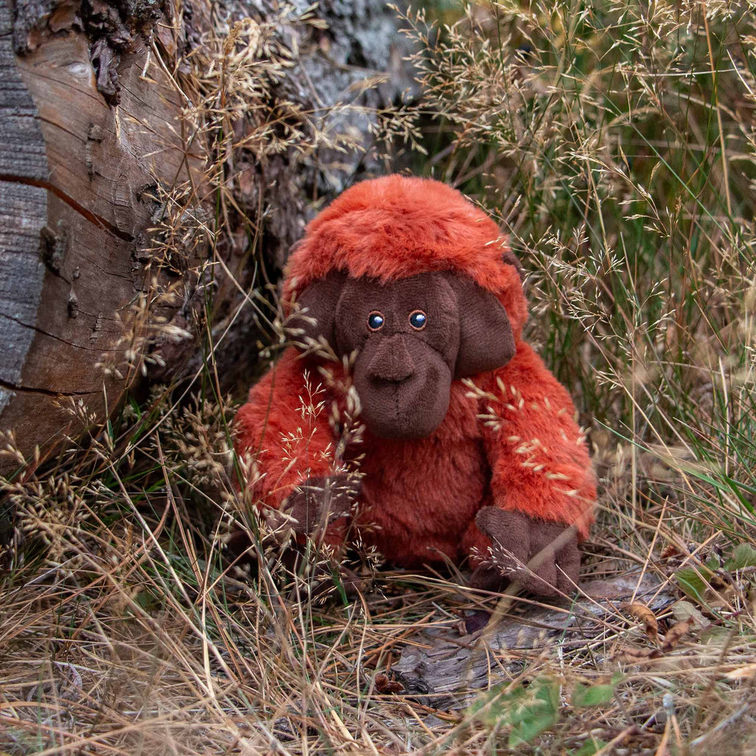 Ozzy Orangutan