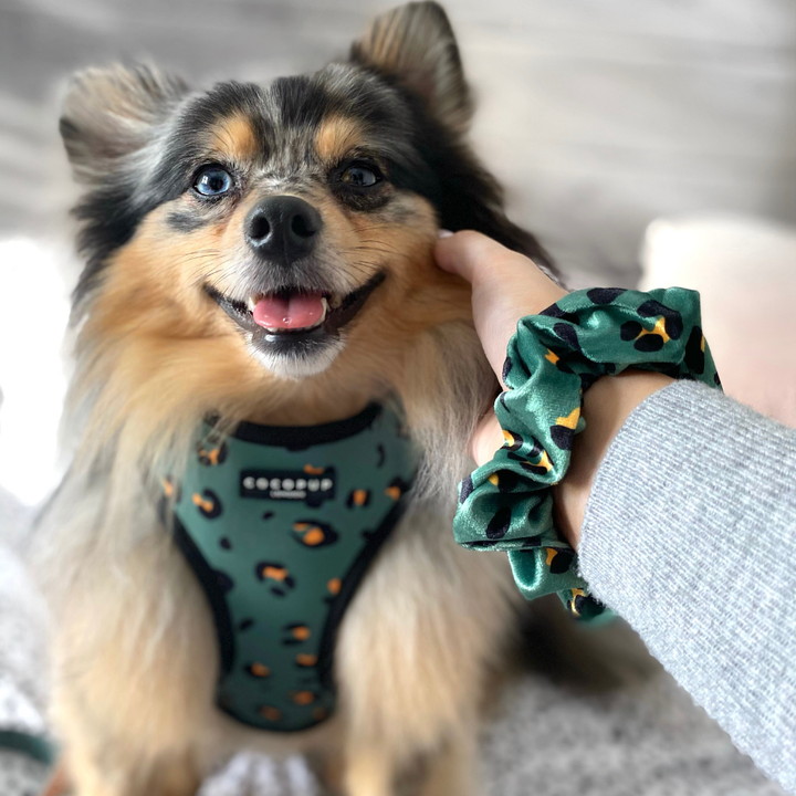 Cocopup Khaki Leopard Adjustable Neck Harness