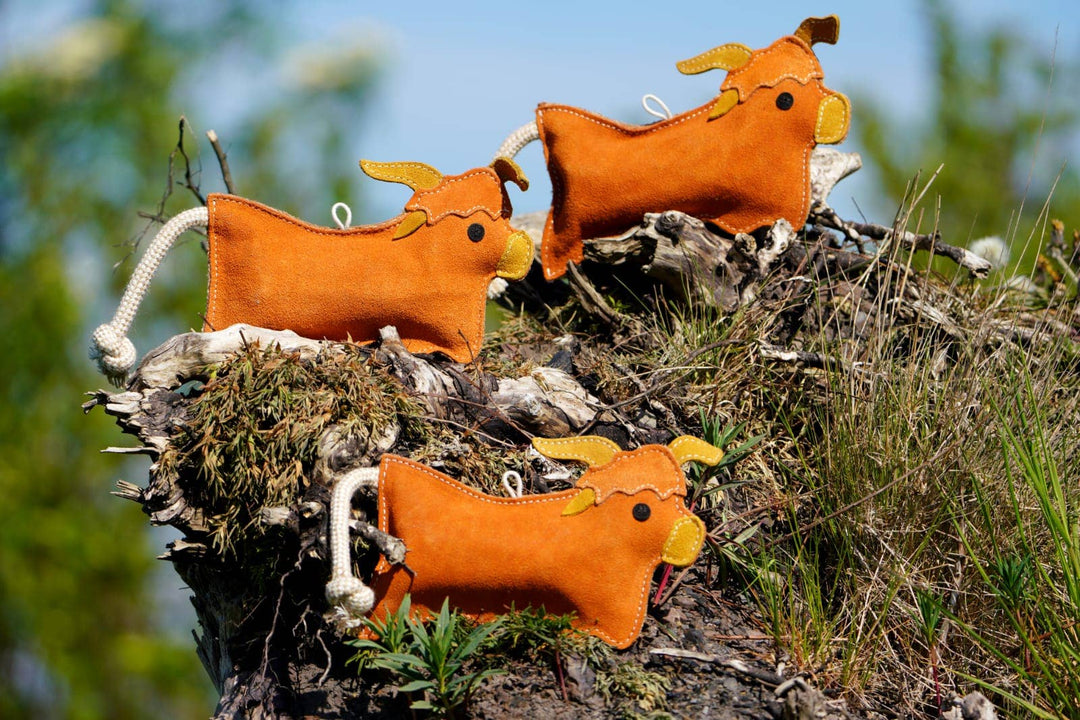Hamish the Highland Cow shaped Eco Dog Toy