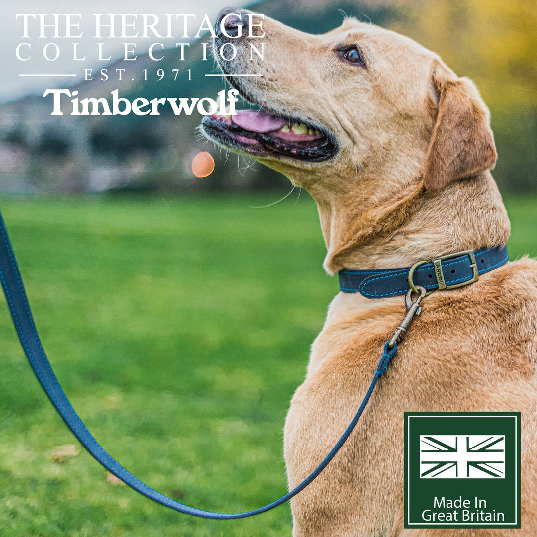 Timberwolf Leather Lead - various colours- 1m x 19mm
