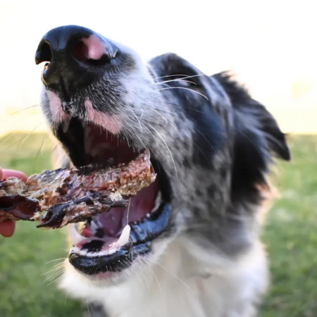 Lulu's Kitchen Oody Roody Kangaroo Trachea 200g