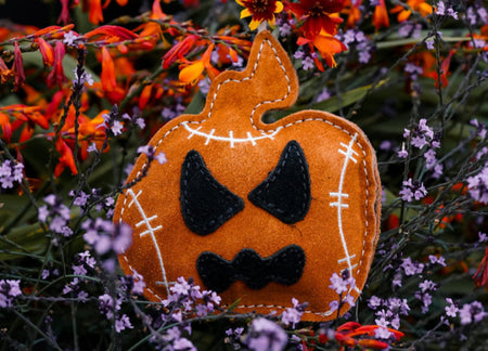 Aurora Paws Jack the Lantern Pumpkin shaped Eco Dog Toy