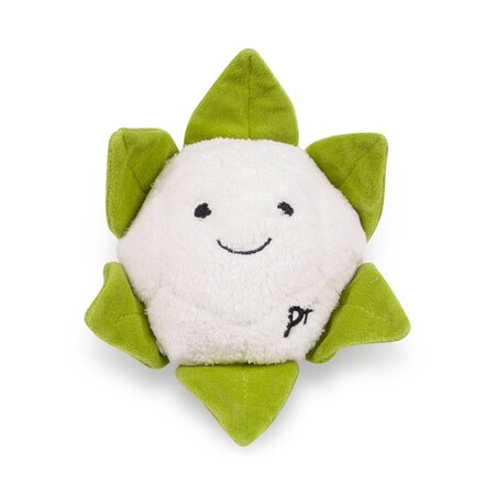 Greenfingers Fluffy Callie Cauliflower