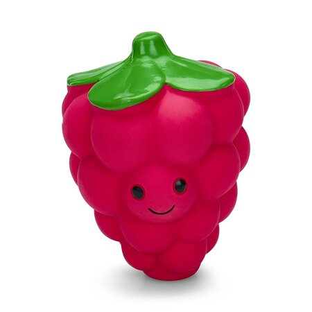 Foodie Faces Raspberry (Small)