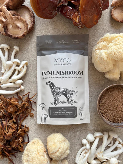 Myco Supplements ImmuniShroom Organic Four-Mushroom Immunity Blend 100g