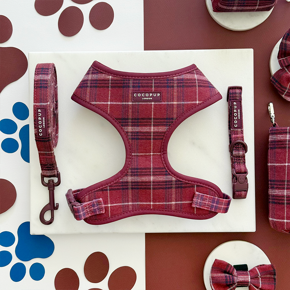 Cocopup Mulberry Plaid Collar