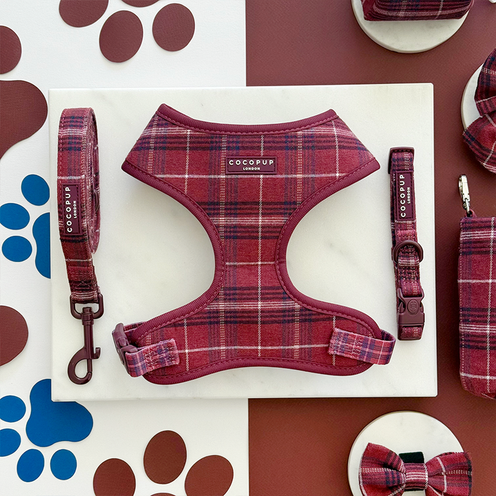 Cocopup Mulberry Plaid Collar