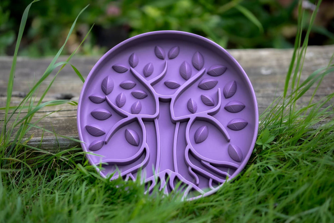 Bodhi & The Birchtree Slow Feeder Bowl | Damson
