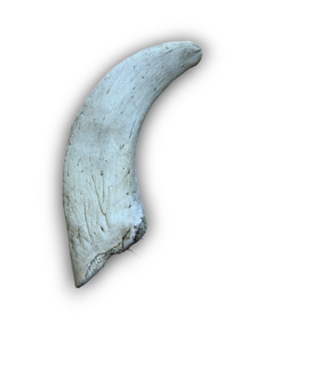 Anco Naturals Lamb Horn Marrow