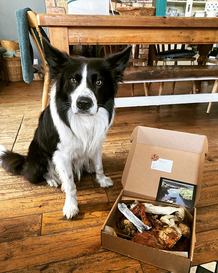 Woody’s £10 Treat Box
