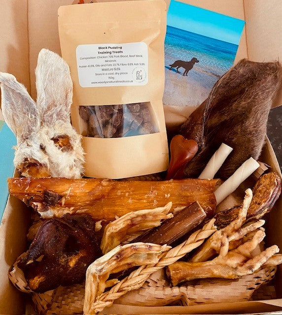 Hugo's Dream Box
