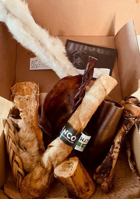 Goose's Dream Box