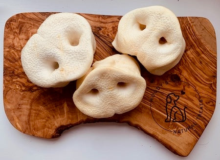 Puffed Pig Snout