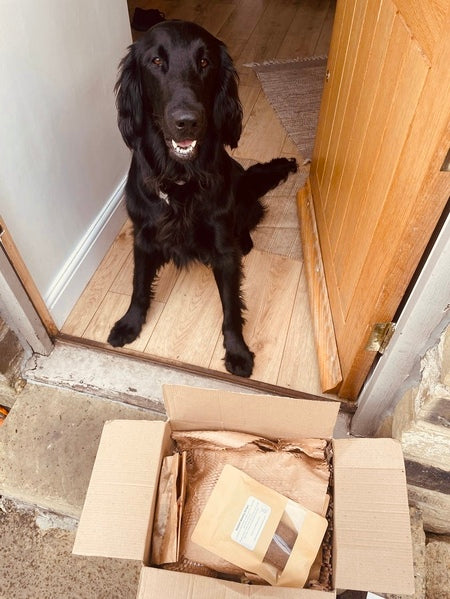 Ozzy's Dream Box