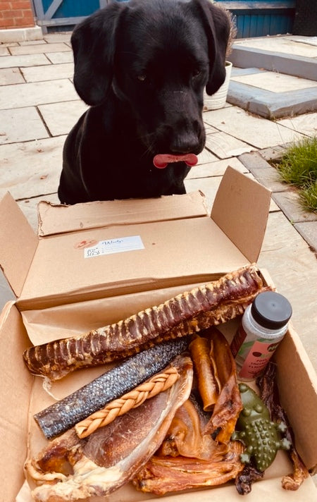 Sonny's Dream Box
