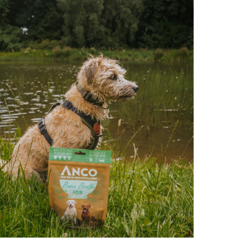 Anco Fish Bone Broth 120g