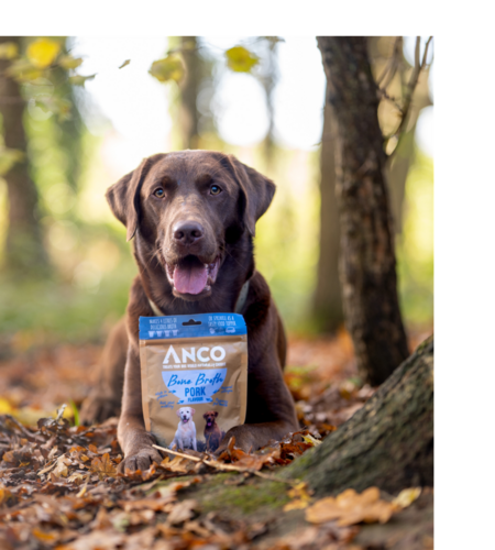 Anco Pork Bone Broth 120g