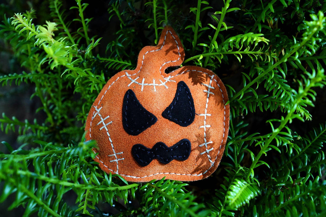 Halloween Jack the Lad Pumpkin small breed Eco Dog Toy
