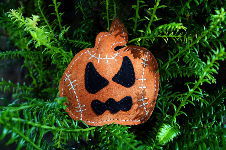 Halloween Jack the Lad Pumpkin small breed Eco Dog Toy
