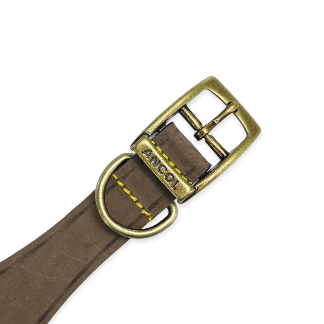 Timberwolf Hound Collar ( Size 34-43cm)