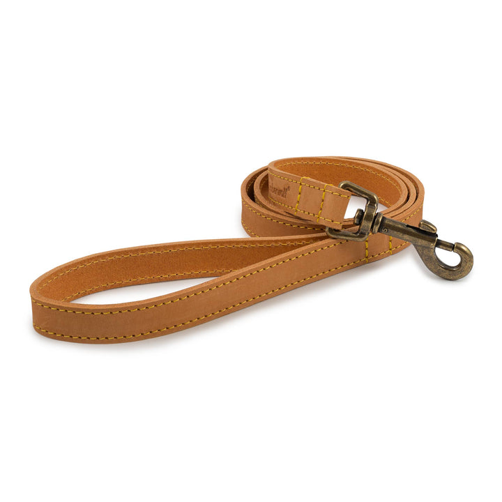 Timberwolf Leather Lead - various colours- 1m x 19mm