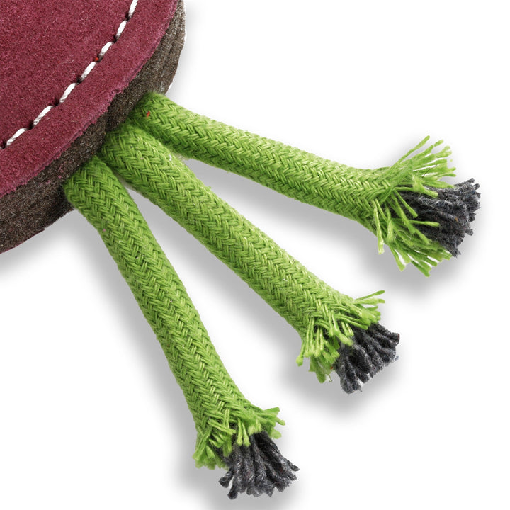Green & Wild's Ruby Radish Eco Toy