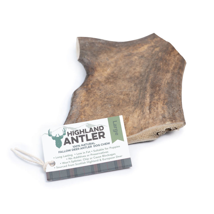 Highland Antler Fallow Antler (large 150-220g)