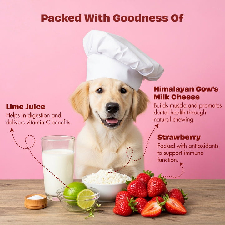 Pawfect Himalayan Cheese Chew with Strawberry (Large)