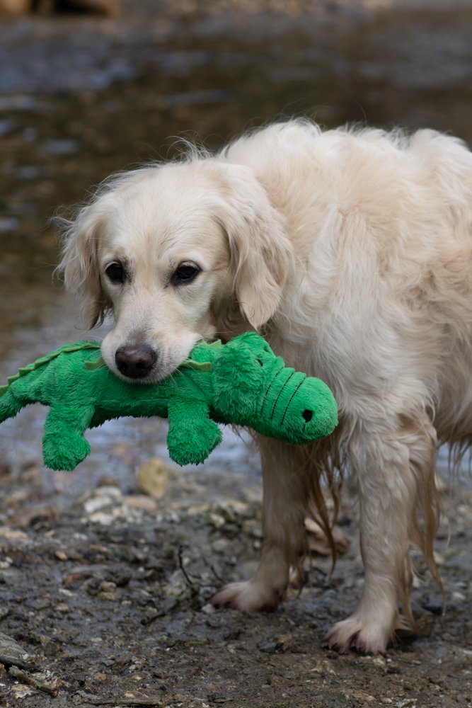 Carlos Croc Plush Toy