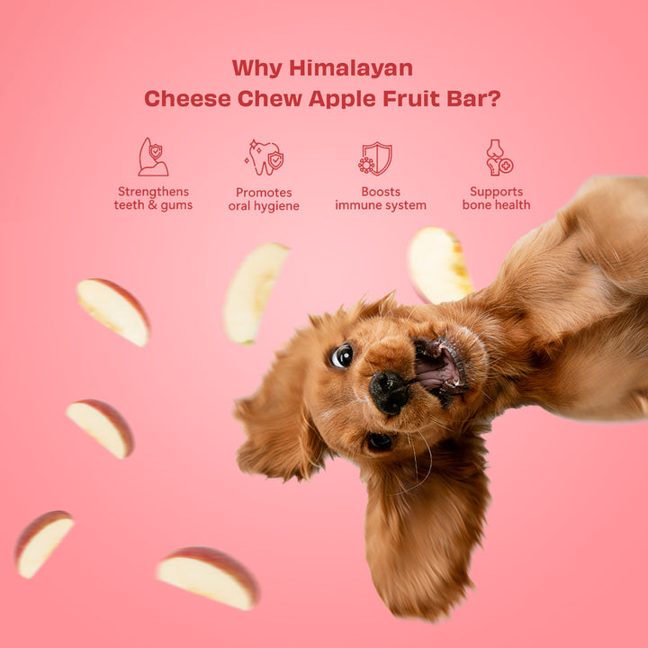 Pawfect Himalayan Cheese Chew Apple (Medium)