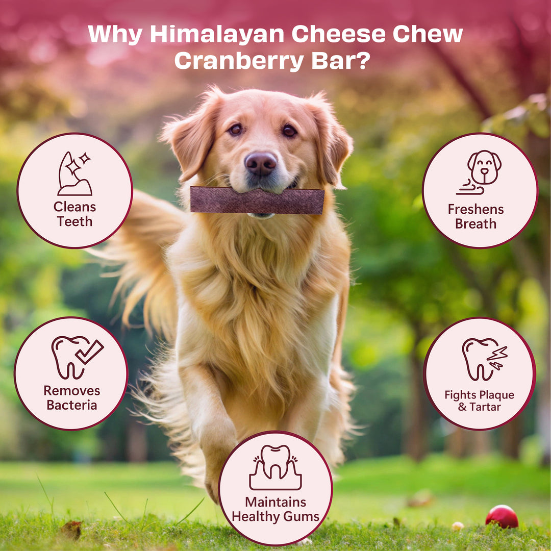 Pawfect Himalayan Cheese Chew Cranberry (Large)