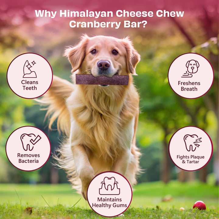 Pawfect Himalayan Cheese Chew Cranberry (Large)