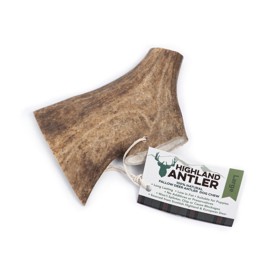 Highland Antler Fallow Antler (large 150-220g)