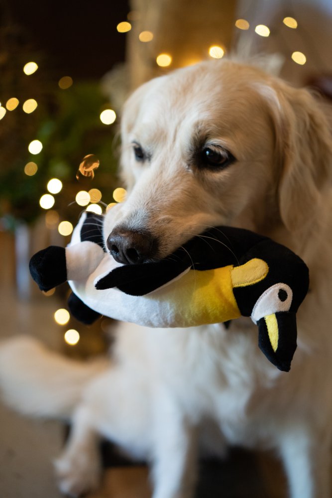 Panuk Penguin Plush Toy