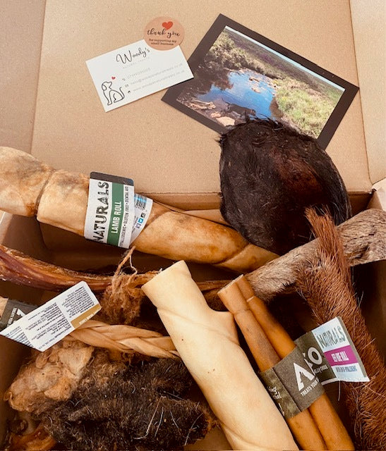 Buddy's Dream Box