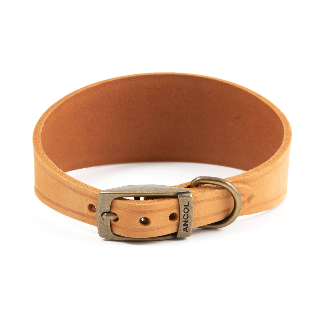 Timberwolf Hound Collar ( Size 34-43cm)
