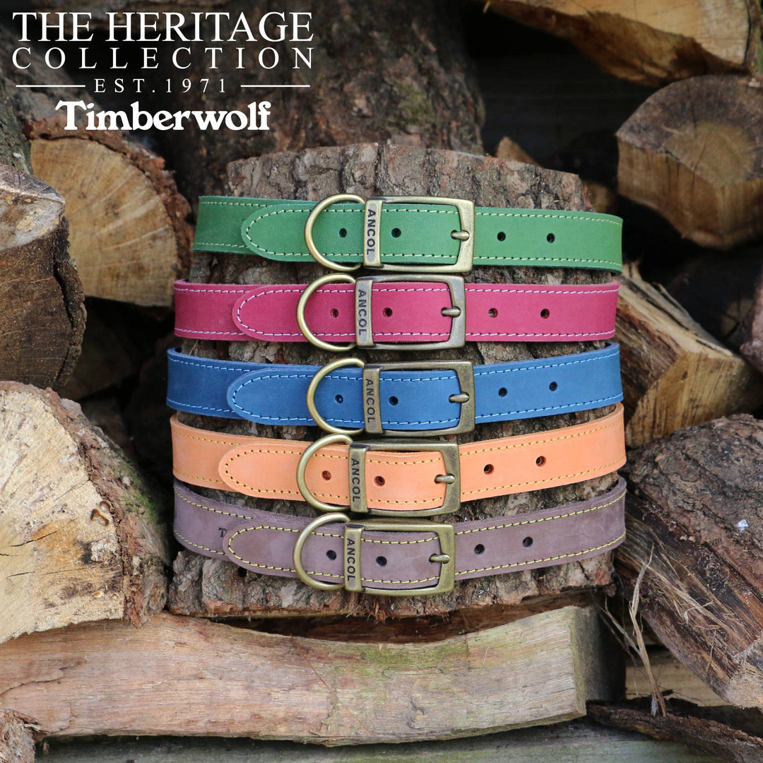 Timberwolf Leather Collar Green