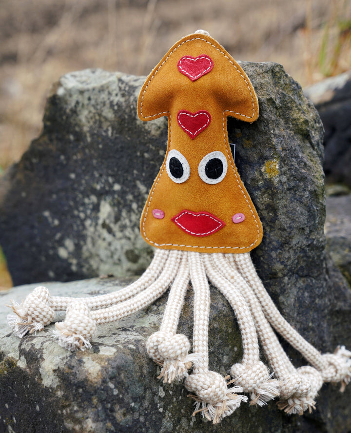 Karen the Squid Shaped Eco Dog Toy