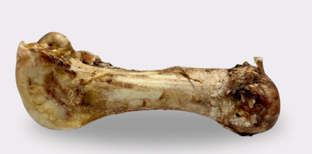 Jumbo Ostrich Bone