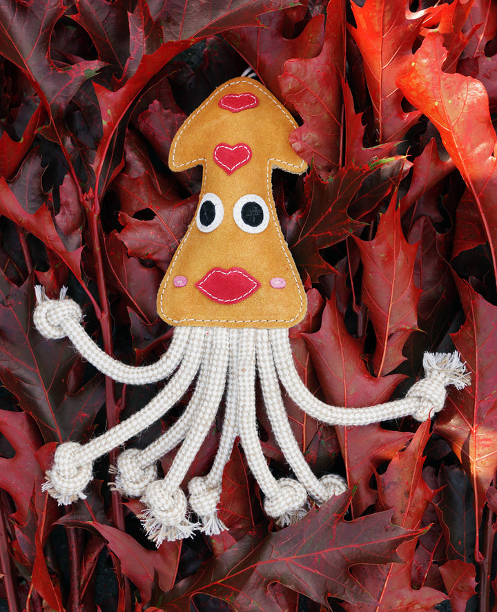 Karen the Squid Shaped Eco Dog Toy