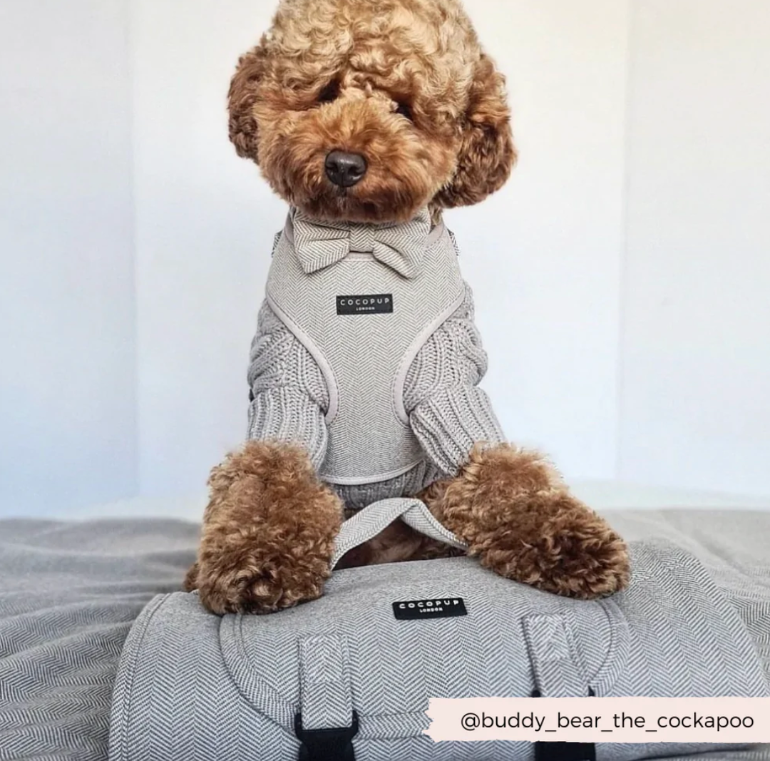 Cocopop Tweed Adjustable Neck Harness - Brown