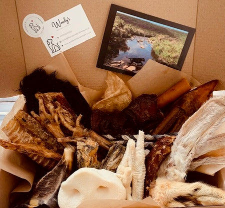 Woody's Goody Box
