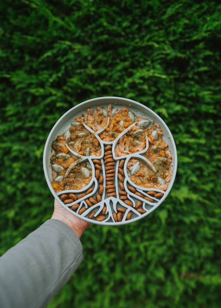 Bodhi & The Birchtree Slow Feeder Bowl | Alpine