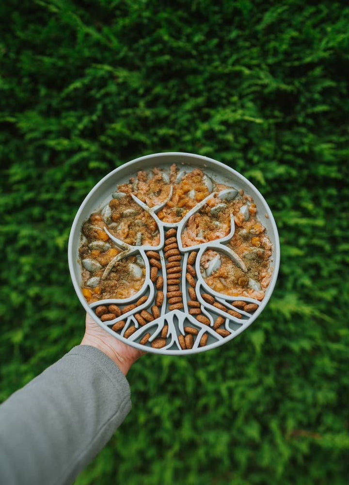 Bodhi & The Birchtree Slow Feeder Bowl | Alpine