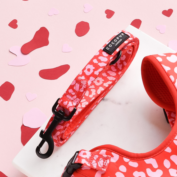 Cocopup Red & Pink Leopard Lead