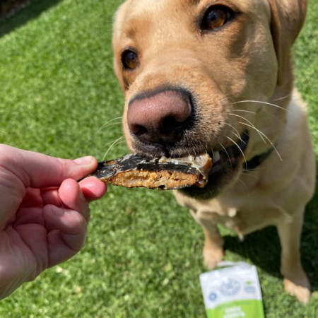 Lulu's Kitchen Make It Snappy Croc Jerky 100g