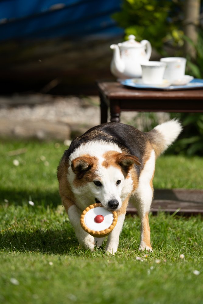 Foodie Faces Cherry Bakewell