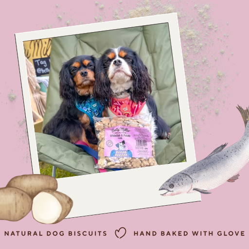 Betty Miller Grain-Free Whitefish & Potato Paws 400g