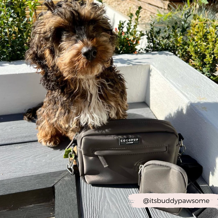 Cocopup Dog Walking Bag - Mocha